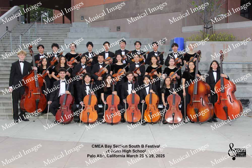 Musical Images